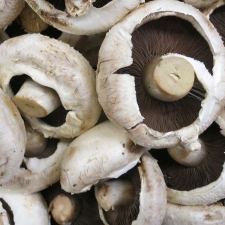 Sufleu de ciuperci 